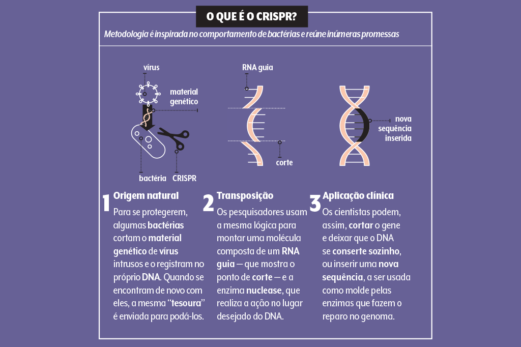 CRISPR-genetica